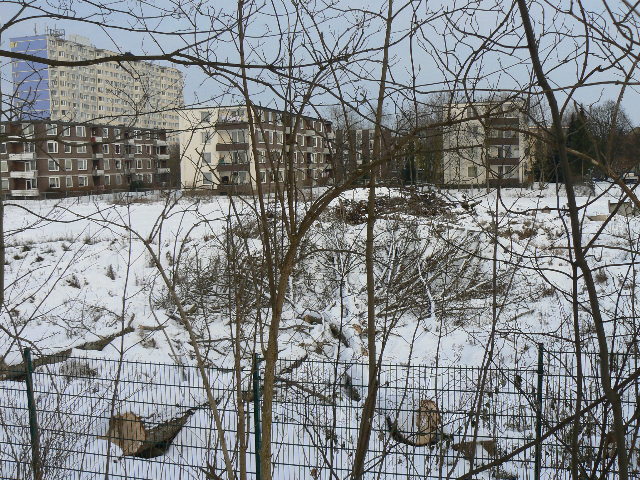 Über einen Zaun blickt man auf gefällte Bäume und Sträucher, leicht mit Schnee bedeckt, dahinter stehen eckige, vierstöckige Wohnblöcke. HInter ihnen erhebt sich ein langgestrecktes Hochhaus. Der Gesamteindruck des Bildes ist eher trist.