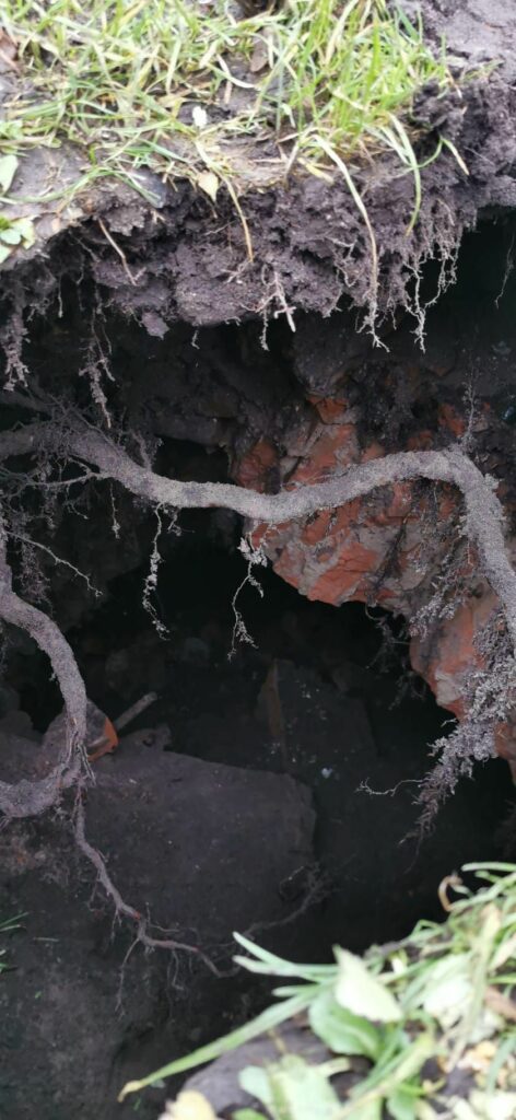 Ein großes Erdloch, links eine Wurzel und im oberen Drittel eine Wurzel. Darunter sieht man Mauerreste. Im Zentrum ist es wie eine sehr dunkle Höhle.