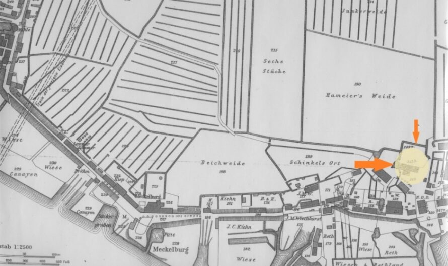 Die medizinische Versorgung der Veddel zwischen 1887 und 1965