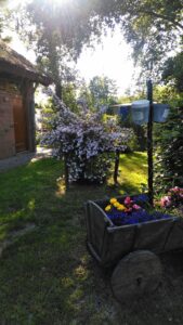 Ein Garten, links im Bild ein Holzhaus. Im Garten blüht ein Strauch rosa, im Vordergrund ein Holzbollerwagen, der mit verschiedenfarbigen Blumen bepflanzt ist.