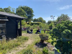 Ein grüner Garten mit Gartenlaube und Bäumen.