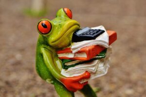 Ein Frosch trägt einen Stapel Papier, Akten und einen Taschenrechner