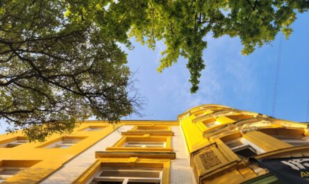 Eine gelb-weiße Häuserfassage eines Gründerzeithauses, fotografiert von unten nach oben. Blauer Himmel, Baumblätter.