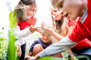 4 Kinder spielen auf einer Wiese mit den Pflanzen und Insekten.