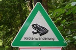 Ein dreieckiges Verkehrsschild, grün umrahmt, mittig ein schwarzer Frosch, Text: Krötenwanderung.