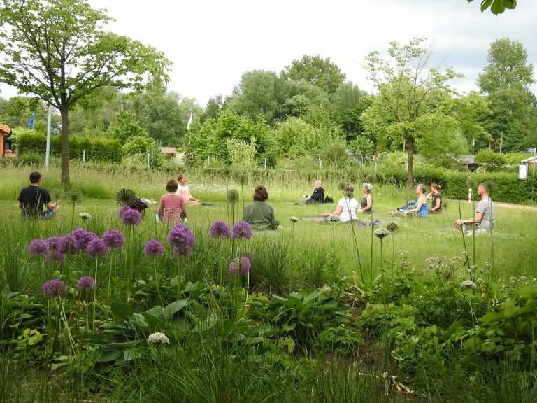 Menschen sitzen im Kreis auf einer Wiese im Park, lila Blüten und viel Grünpflanzen, im Hintergrund Bäume