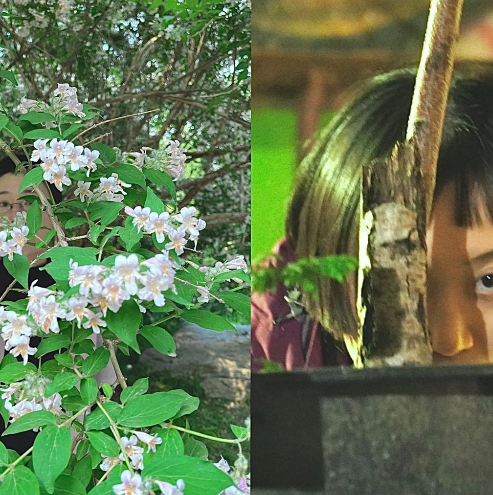 Zwei KünstlerInnen verstecken ihre Gesichter hinter Pflanzenstrauch und Blumentopf