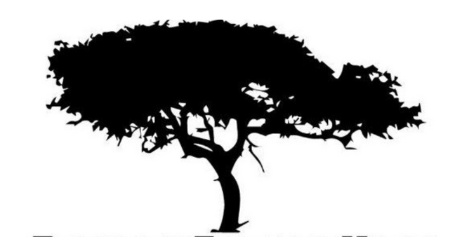 ein Baum als schwarz-weiß-Illustration