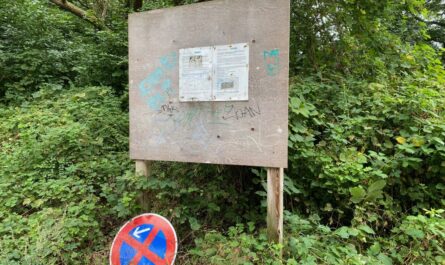 Im Grünen steht ein großes Holzschild, darauf hängt ein Zettel, auf dem die Baumaßnahmen in der Parkanlage beschrieben sind. Unten links auf dem Boden liegt ein "absolutes Halteverbot"-Schild.