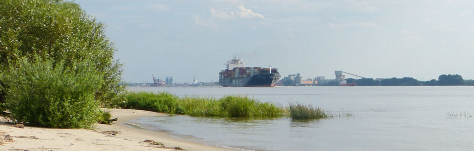 Ein Containerschiff in der Elbe, vom Strand aus fotografiert