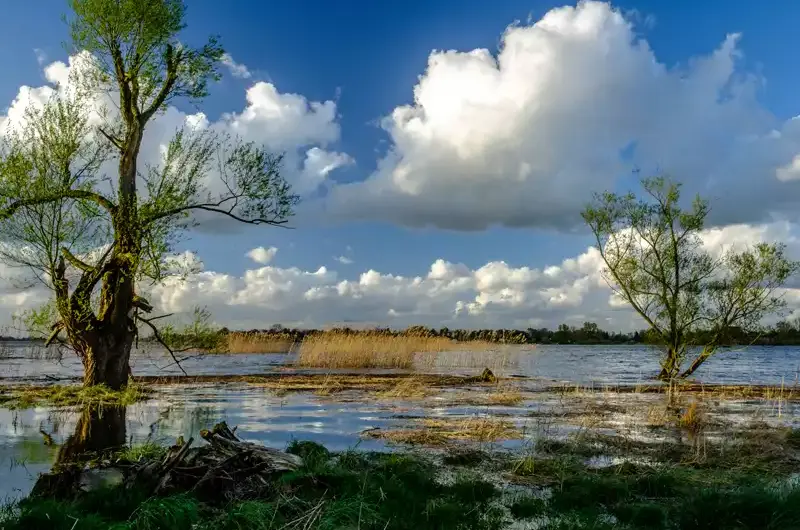 Vortragsreihe „Unsere Elbe”: spannende Einblicke für alle Interessierten rund um unseren Fluss