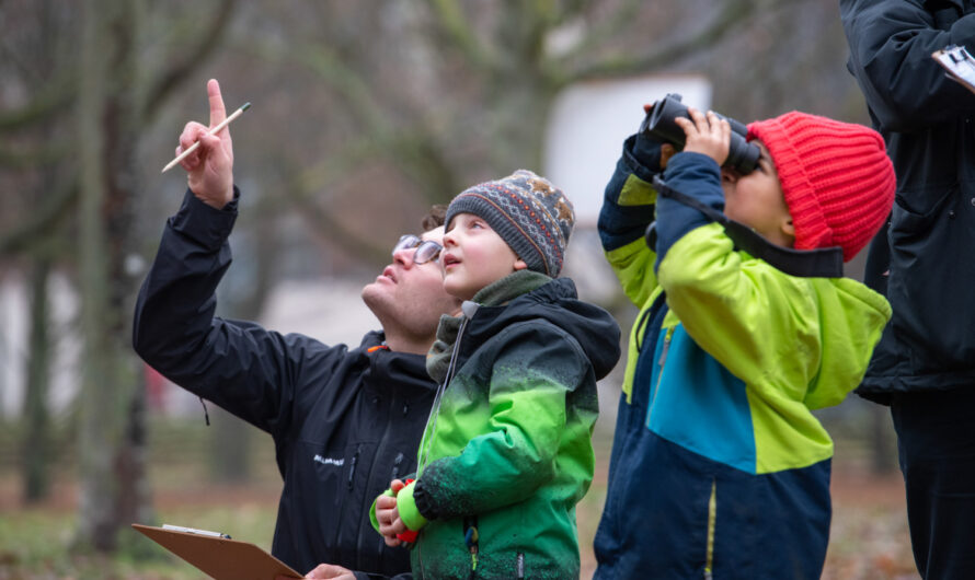 Stunde der Wintervögel 2025