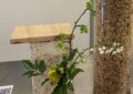 Vogelhaus aus Myzel mit Holzdach und davor Blumen