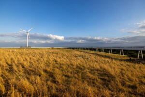 Ein großes gelbes Grasfeld, über das eine hohe Brücke führt, im Hintergrund Windräder