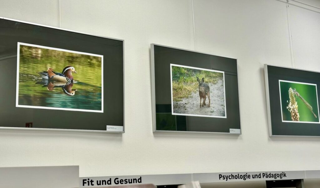 Foto: C.Meyer