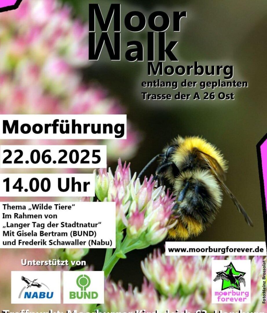 Biene auf Blüte, dazu die VA-Infos
