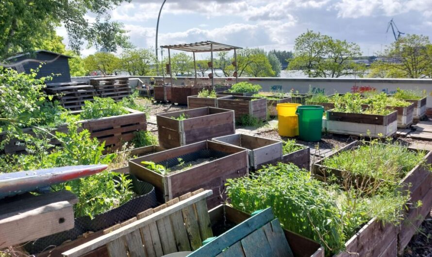 Ein Hamburger Wandergarten für die Veddel