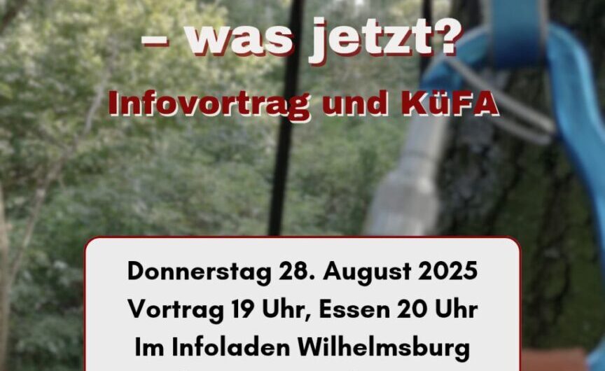 Wilder Wald: Teilrodung genehmigt – und was jetzt?