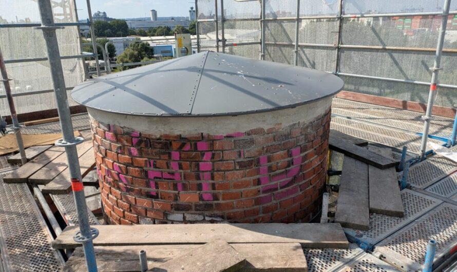Fledermäuse in der Hofa?!