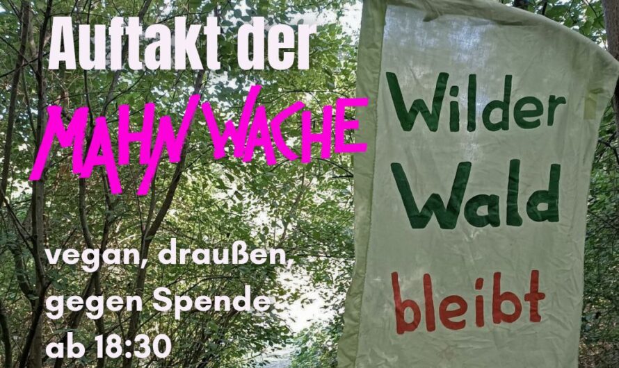 Küfa zum Auftakt der Mahnwache
