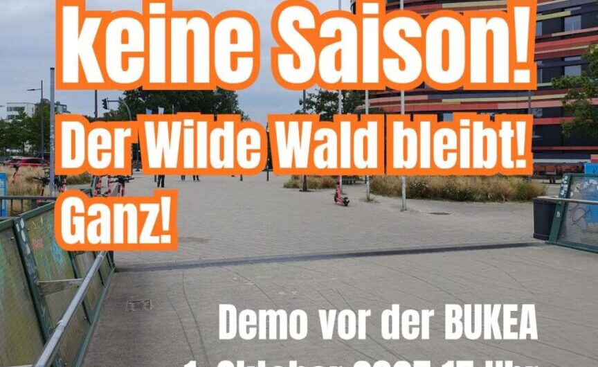 Wilder Wald Demo