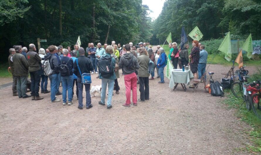 Protest gegen geplante Teil-Rodung im Wilden Wald
