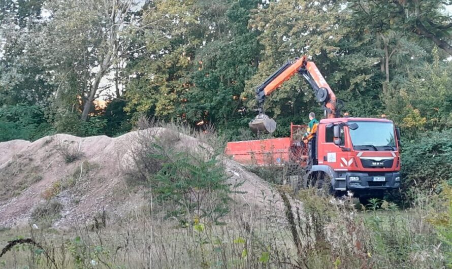 Erfreuliche Nachrichten für Wilhelmsburg