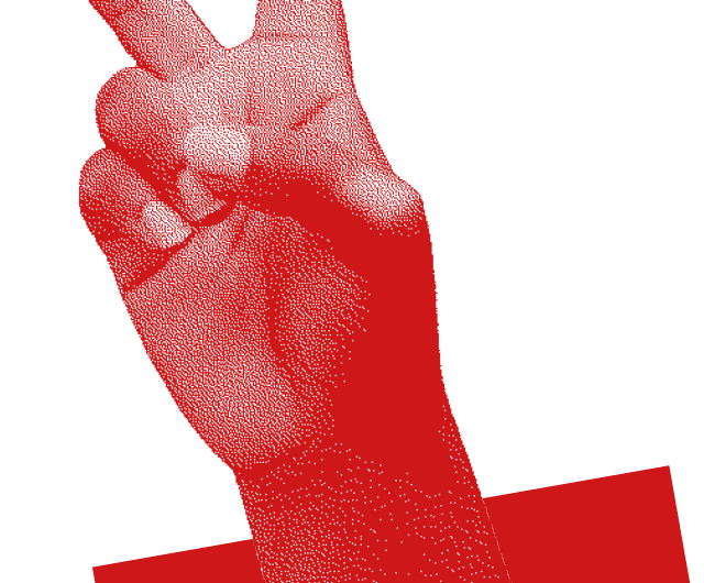 Stadtteilfest Veddel