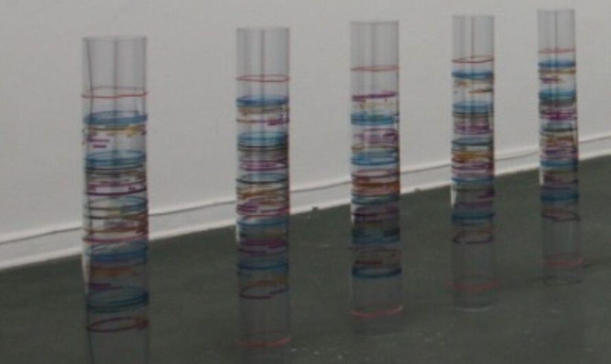 „Was man aus der Gegend hinausträgt, trägt man hinein in sein Gesicht“