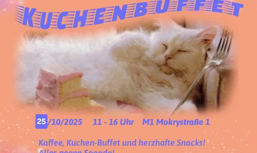 Antira-Soli-Kuchenbuffet