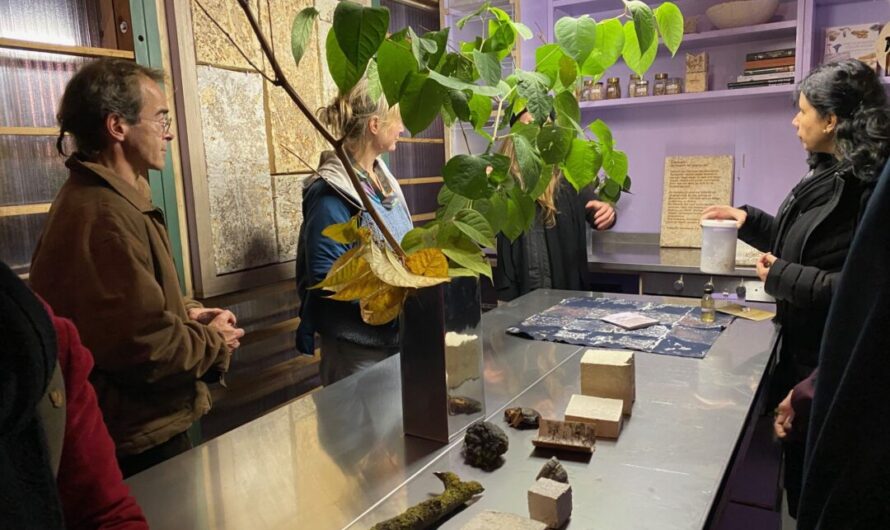 Ein Reallabor für die Bauwende – zwischen Forschung, Handwerk und Gestaltung – in den Zinnwerken