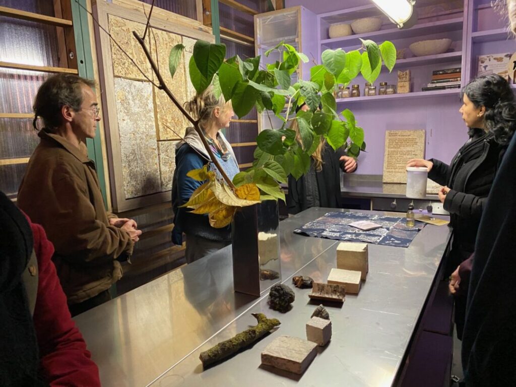 Links Beispielplatten aus Myzel an der Wand. Davor eine Frau. In der Mitte ein großer Zweig japanischer Knöterich. Dahinter eine Frau vor einem Regal. In der Mitte ein Tisch mit der Knöterichvase und Beispiele von kleinen Baumaterialien.