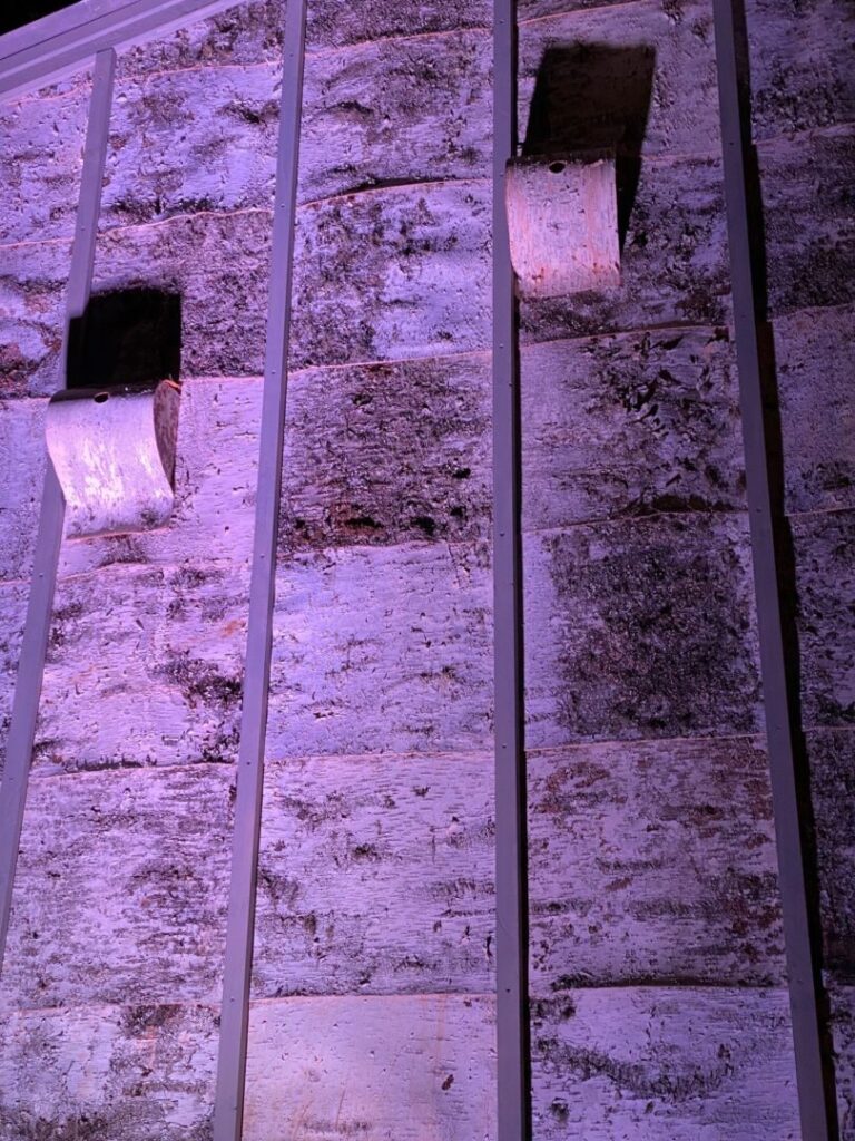 Eine Giebelwand aus Metallstreben, verkleidet mit Birkenrinde und links und rechts oben zwei Vogelkästen.