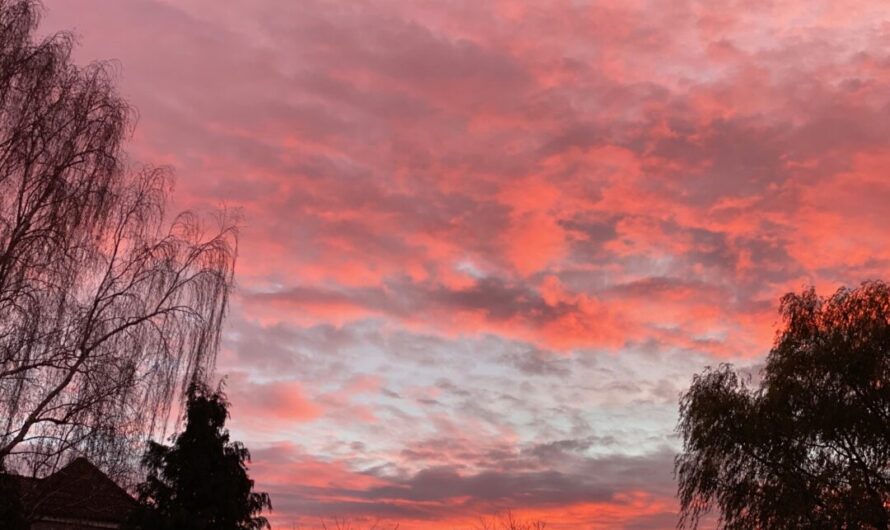 Staunen, lernen, handeln