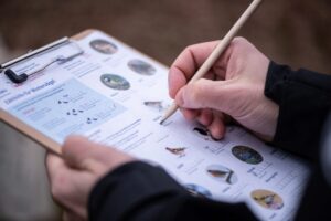 Ein Klemmbrett mit Vogelbildern. Die linke Hand hält das Brett und die rechte Hand kreuzt mit einem Bleistift einen Vogel an.