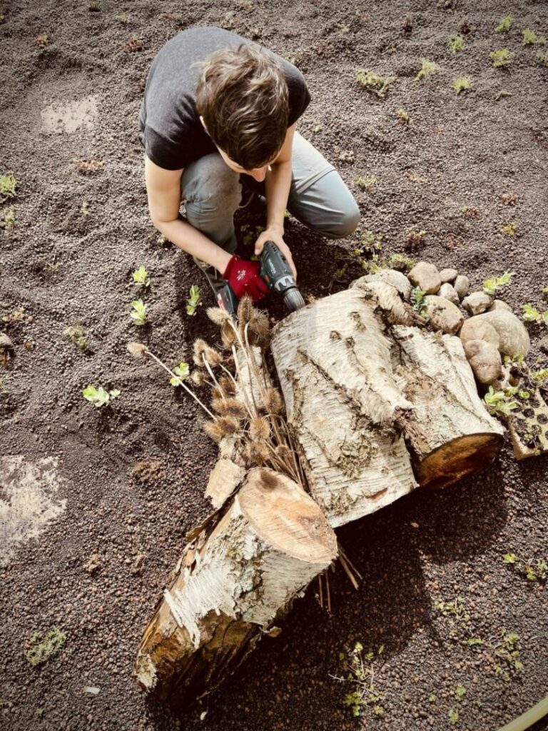 Eine person kniet vor einem Baumstammstück und bohrt mit dem Akkuschrauber Löcher rein. Fotos: Jan Bastian, Sanne Reuß