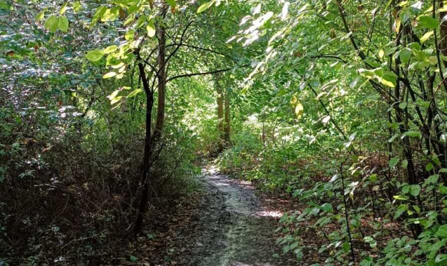 „Keine Zeit zu verlieren“