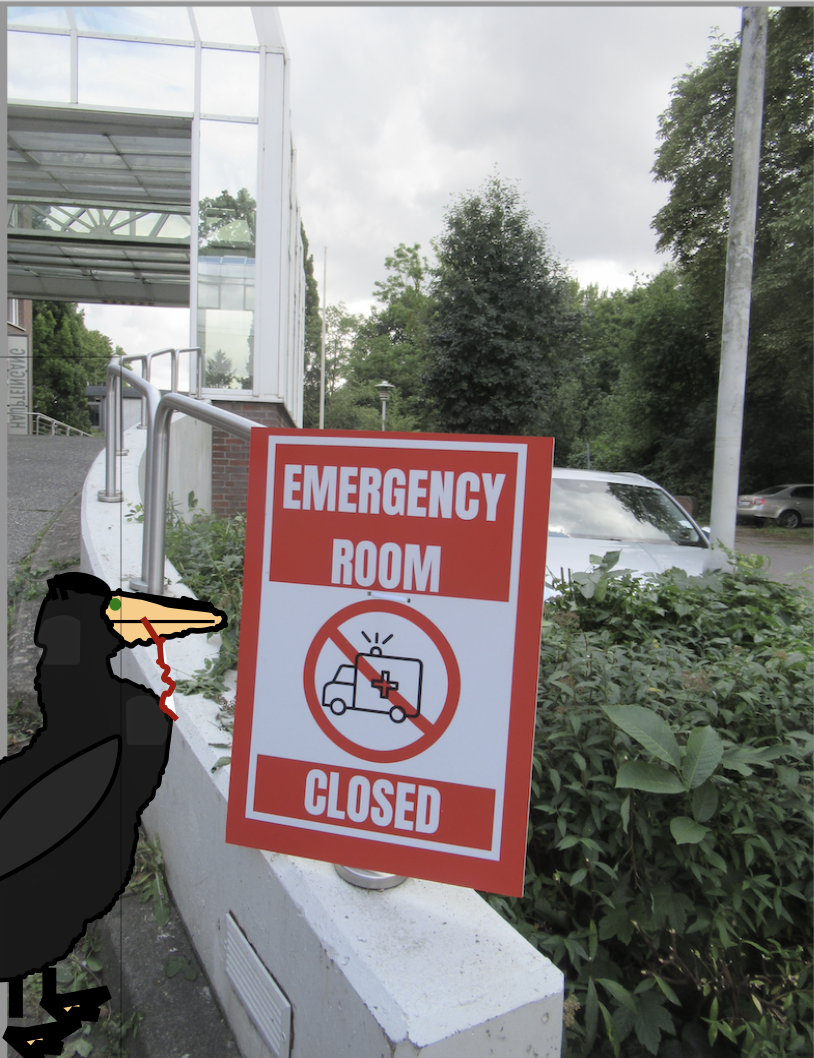 Von links kommt ein Comic-Kormoran ins Bils und steht vor dem Schild „Emergency Room closedd