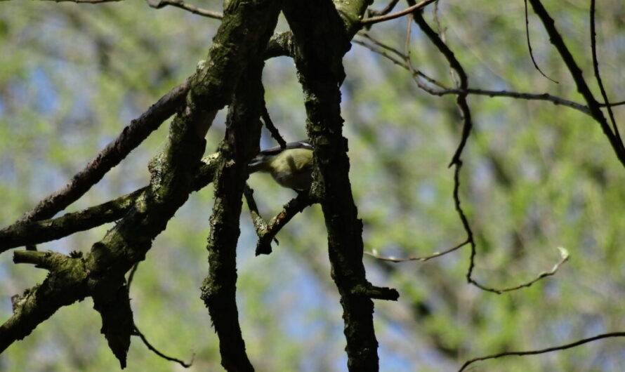 „Bauen, bauen, bauen“?! Es gibt Alternativen!