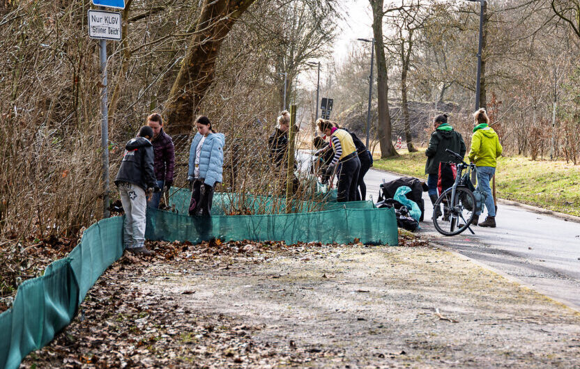 Amphibienschutz im Inselpark Wilhelmsburg: Schutzzaun steht