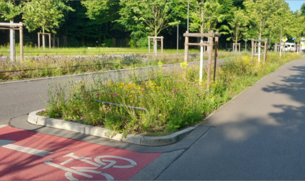 Die Louise-Schröder-Straße in Hamburg Altona ist ein positives Beispiel einer Maßnahme auf Bezirksebene, die eine gleichberechtigte Mobilität für alle ermöglicht: aus einer dreispurigen Kfz-Straße mit parkenden Autos auf beiden Seiten wurde eine sichere Straße für alle mit breiten, baulich abgetrennten Fuß- und Radwegen, begrüntem Mittelstreifen und einer Kfz-Spur. Foto: Carsten Haker