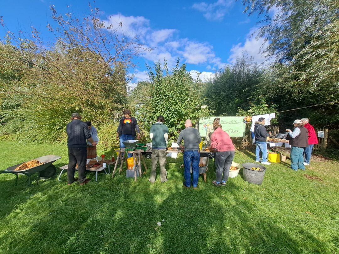 Viele Besucherinnen beim Apfelsaft herstellen am Apfeltag Foto: Interk. Garten