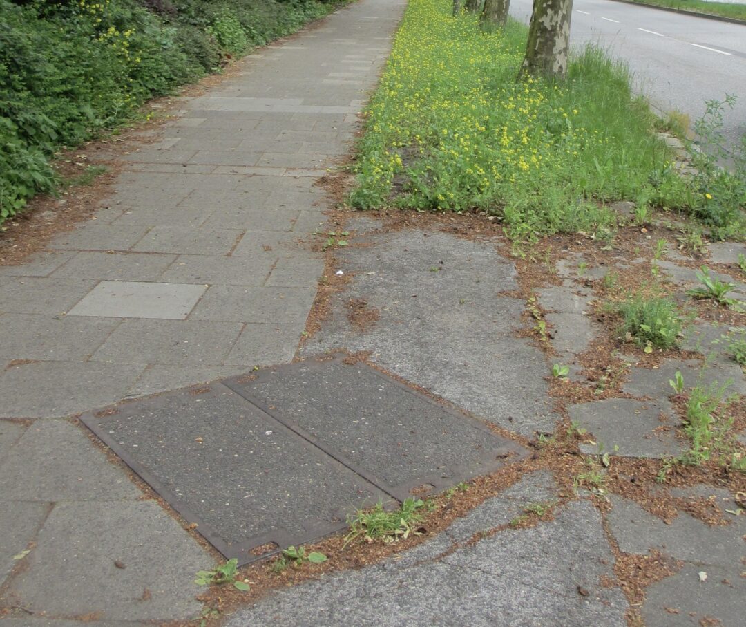 Blick auf den Radweg, dere nach ein paar Metern grasüberwachsen ist