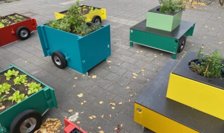 Die Module des Wandergartens: Bunte Holzkisten, bepflanzt mit allen möglichen Pflanzen. Foto: A. Groß