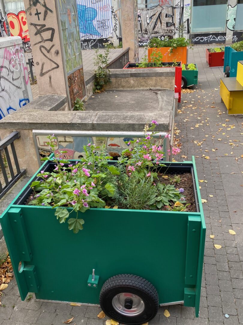 Ein dunkelgrünes Wandergarten-Holz-Hochbeet mit Wildkräuterbepflanzung.
Foto: Ania Groß