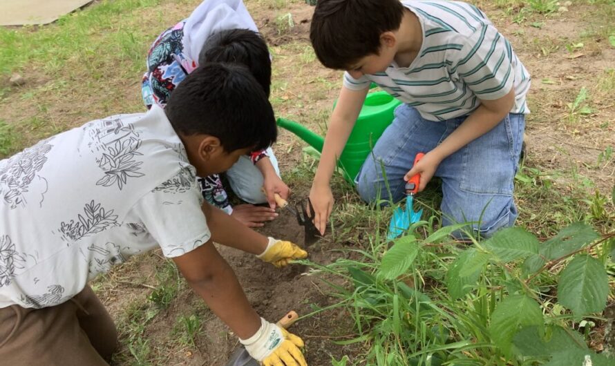 Die Zukunft beginnt im Boden