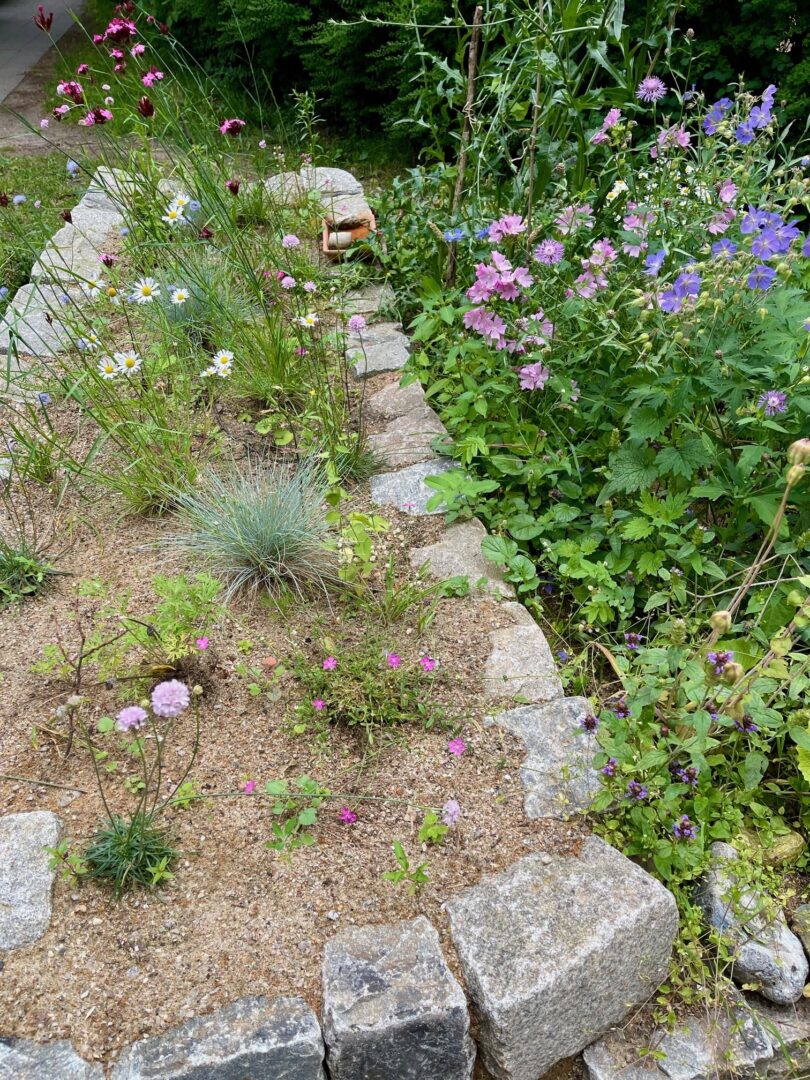Ein sandiges Beet, eingerahmt von Feldsteinen. Rechts daneben Wildkräuter.