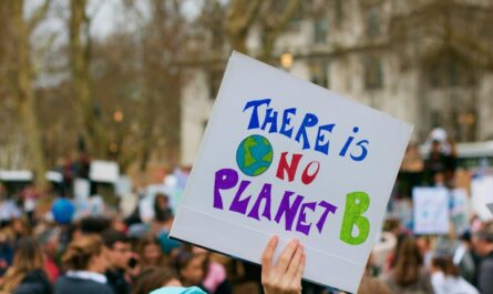 Klimademo: Viele Menschen. Im Vordergrund hält eine Hand ein Schild hoch: There is noch Planet B Bild von Kevin Snyman auf Pixabay