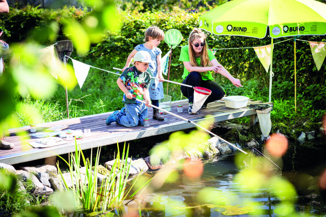 Familienabenteuer: So leben Frosch und Kröte