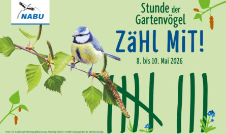 Banner zur Aktion: Ne Meise und Zählstriche auf grünem Grund Bildnachweise IM BILD